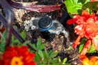 arboretum_bubblers_002