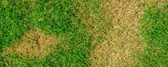 1000x400