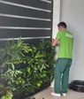 irimon_stena_6