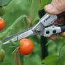 DP42-Compact-Snips-use2