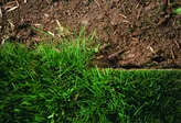 ELIET_KS300PRO_natuur