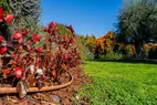 9418_Fotogalerie_0-armonie_galerie_brown