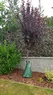 treebag_apply2