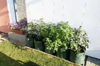 6356_Pouziti_0-pytel_pouziti1