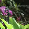148_Fotogalerie_0-sprinklers-rotor-spray-vari-a